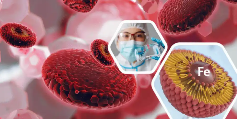 Liposomal iron Liposomal iron