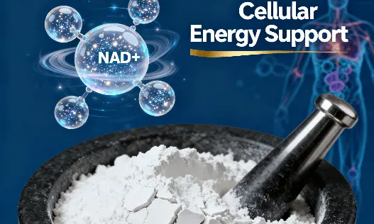 ​​​​​​​Liposomal NAD+ powder