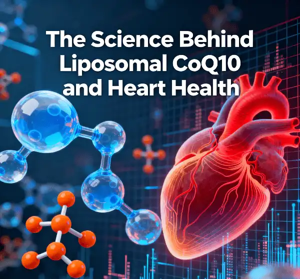 The Science Behind Liposomal CoQ10 and Heart Health The Science Behind Liposomal CoQ10 and Heart Health