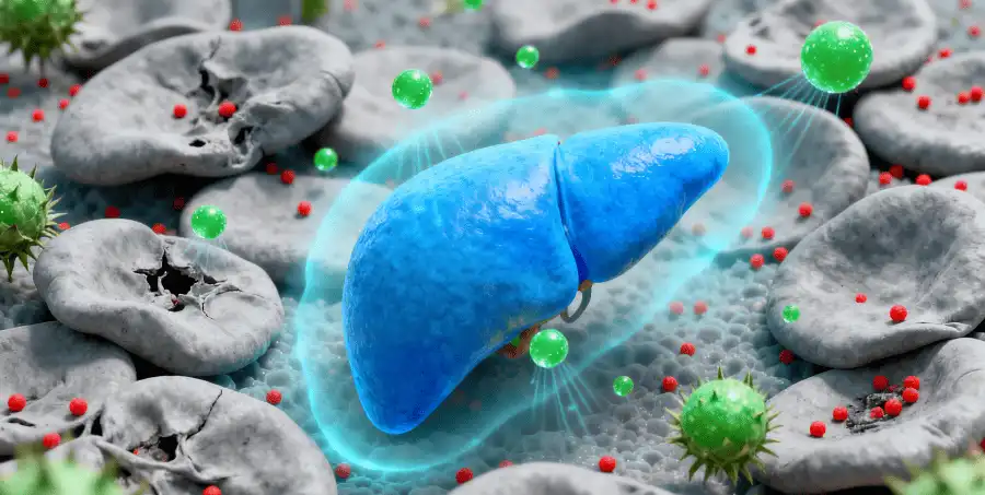 Liposomal Milk Thistle and Its Benefits