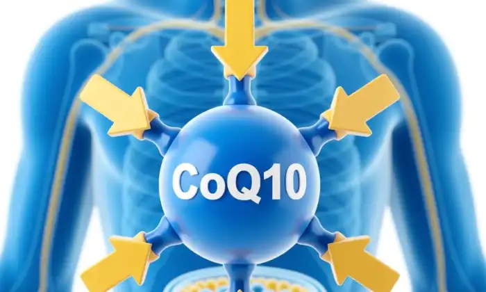 How CoQ10 Powers Your Body How CoQ10 Powers Your Body