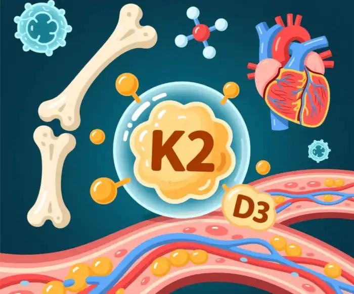 The Synergistic Effect on Bone and Cardiovascular Health The Synergistic Effect on Bone and Cardiovascular Health