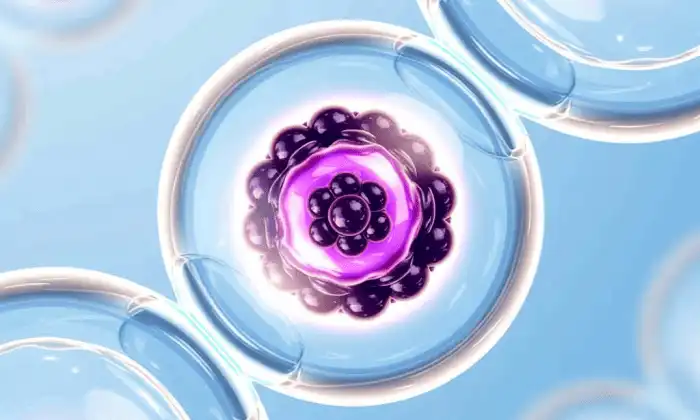 liposomal elderberry liposomal elderberry