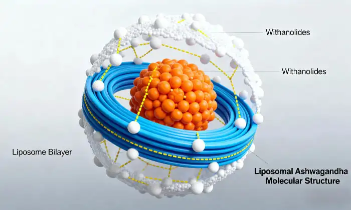 Liposomal Ashwagandha