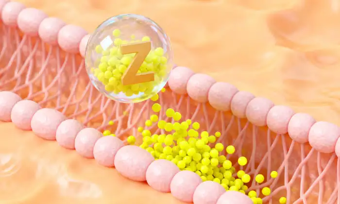 liposomal zinc powder