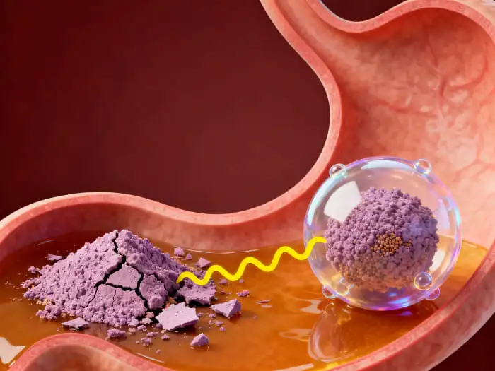 Advantages of Liposomal Echinacea Powder in Supplement Formulations