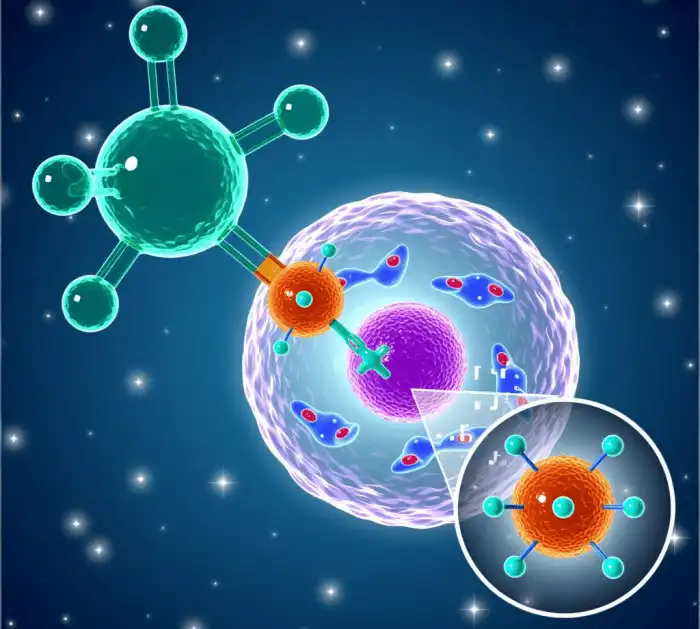 Glutathione's Role in T-Cell Function