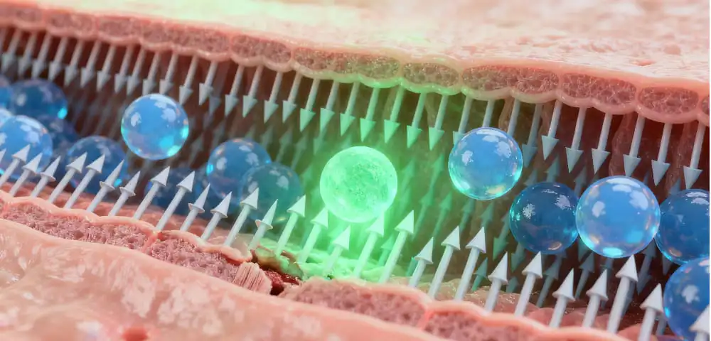 Athletic Performance Benefits of Enhanced Magnesium Absorption Athletic Performance Benefits of Enhanced Magnesium Absorption