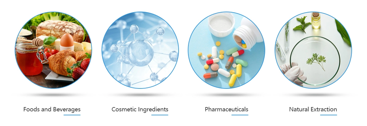Liposomal application