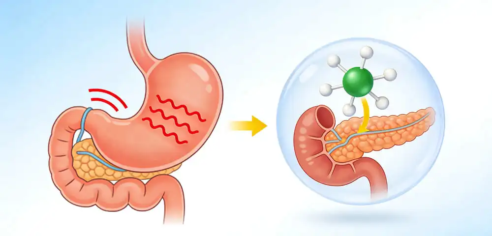 Understanding Digestive Discomfort and Magnesium's Role