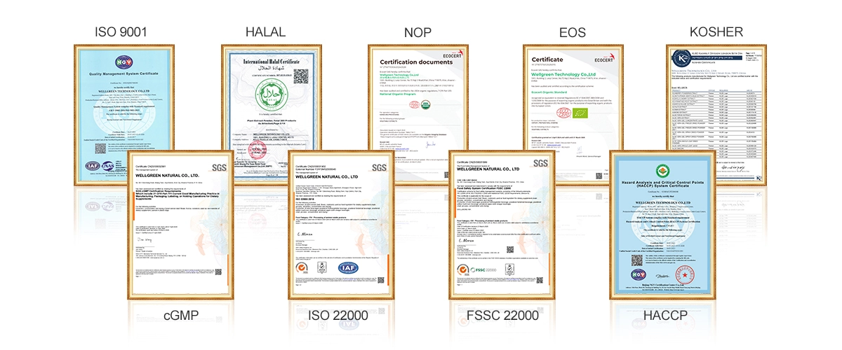 product-1200-500 product-1200-500