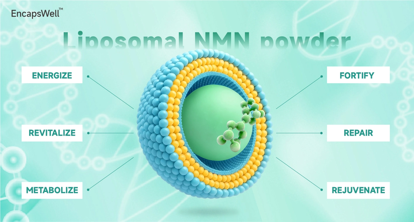 EncapsWell™ liposomal NMN powder