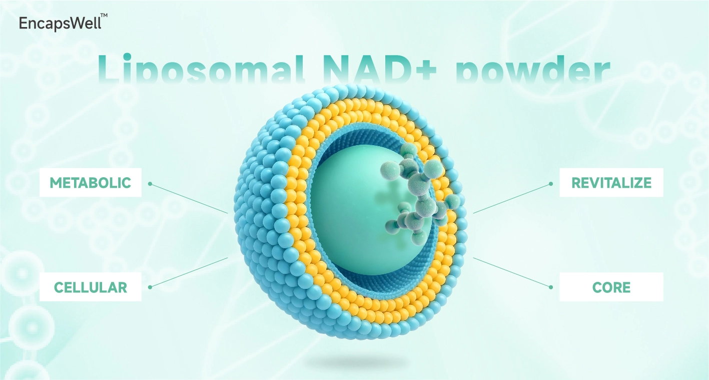 EncapsWell™ Liposomal NAD+ Powder EncapsWell™ Liposomal NAD+ Powder