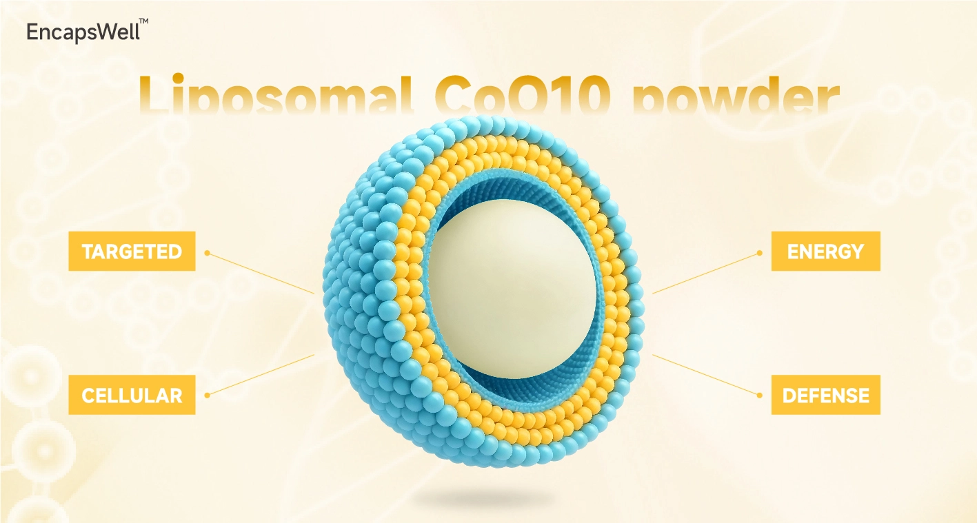 EncapsWell™ Liposomal CoQ10 Powder EncapsWell™ Liposomal CoQ10 Powder
