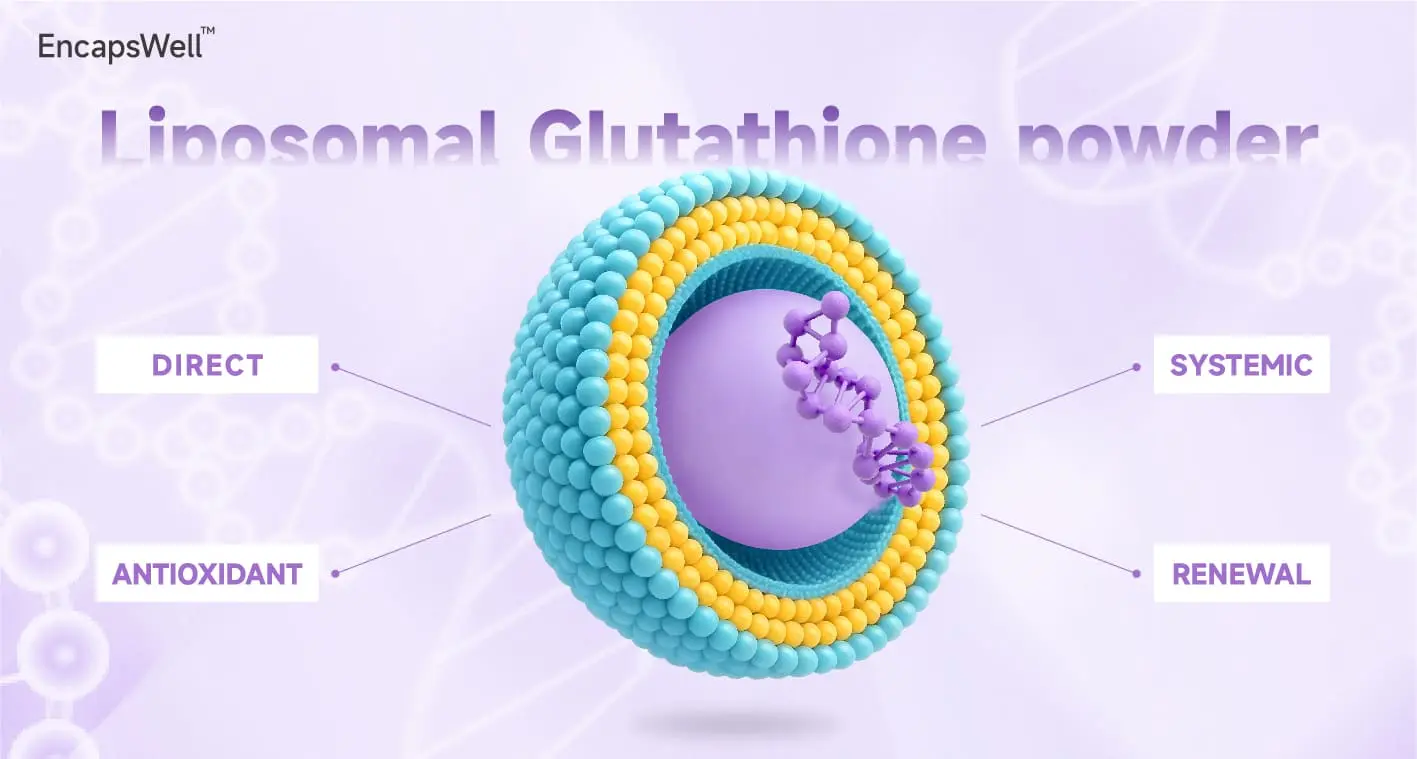 EncapsWell™ Liposomal Curcumin Powder