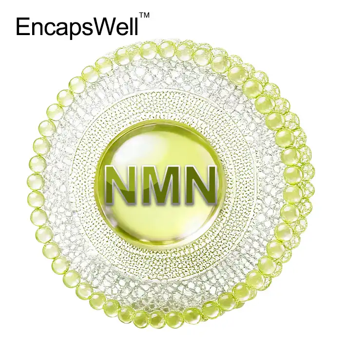 Liposomal NMN Powder